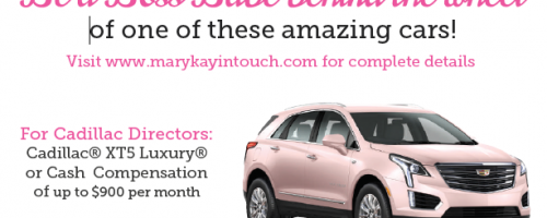 Fewer Mary Kay Cars on the Road