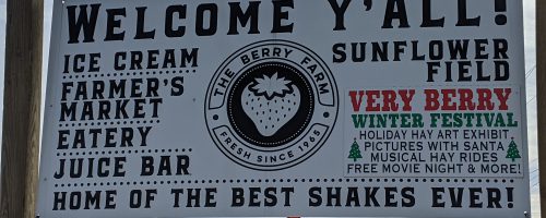 Field Trip to The Berry Farms