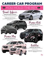 Mary Kay Car Update