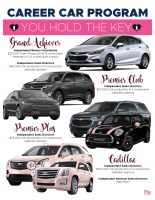 Mary Kay Sales Director Earnings