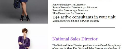 Lying About Sales Director Income