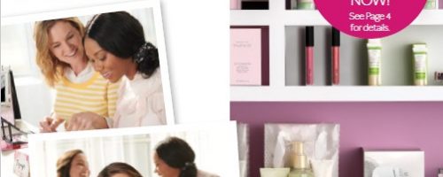 Profit Level Inventory in Mary Kay